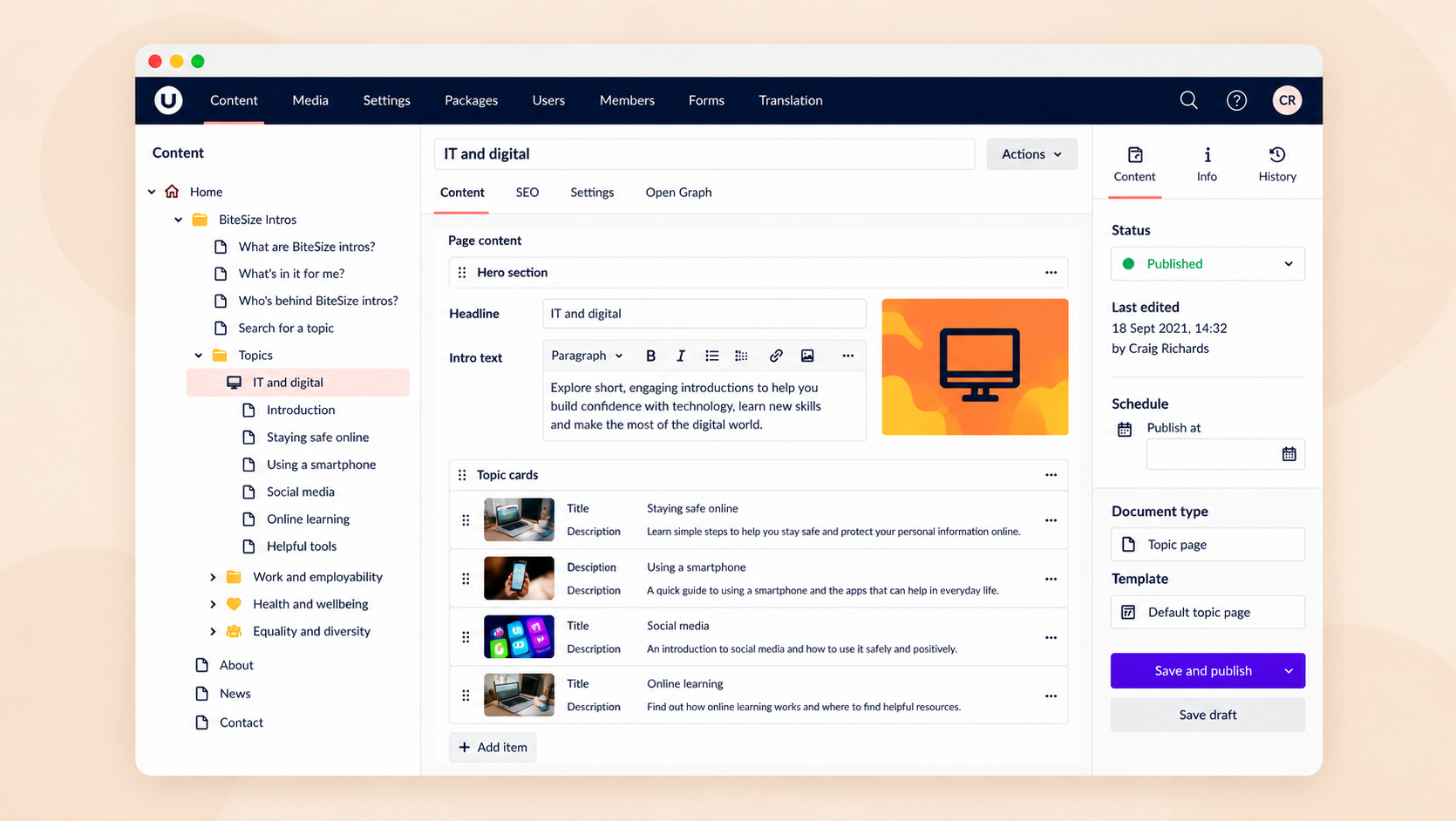 Case Study - BitSize Intros umbraco content editor