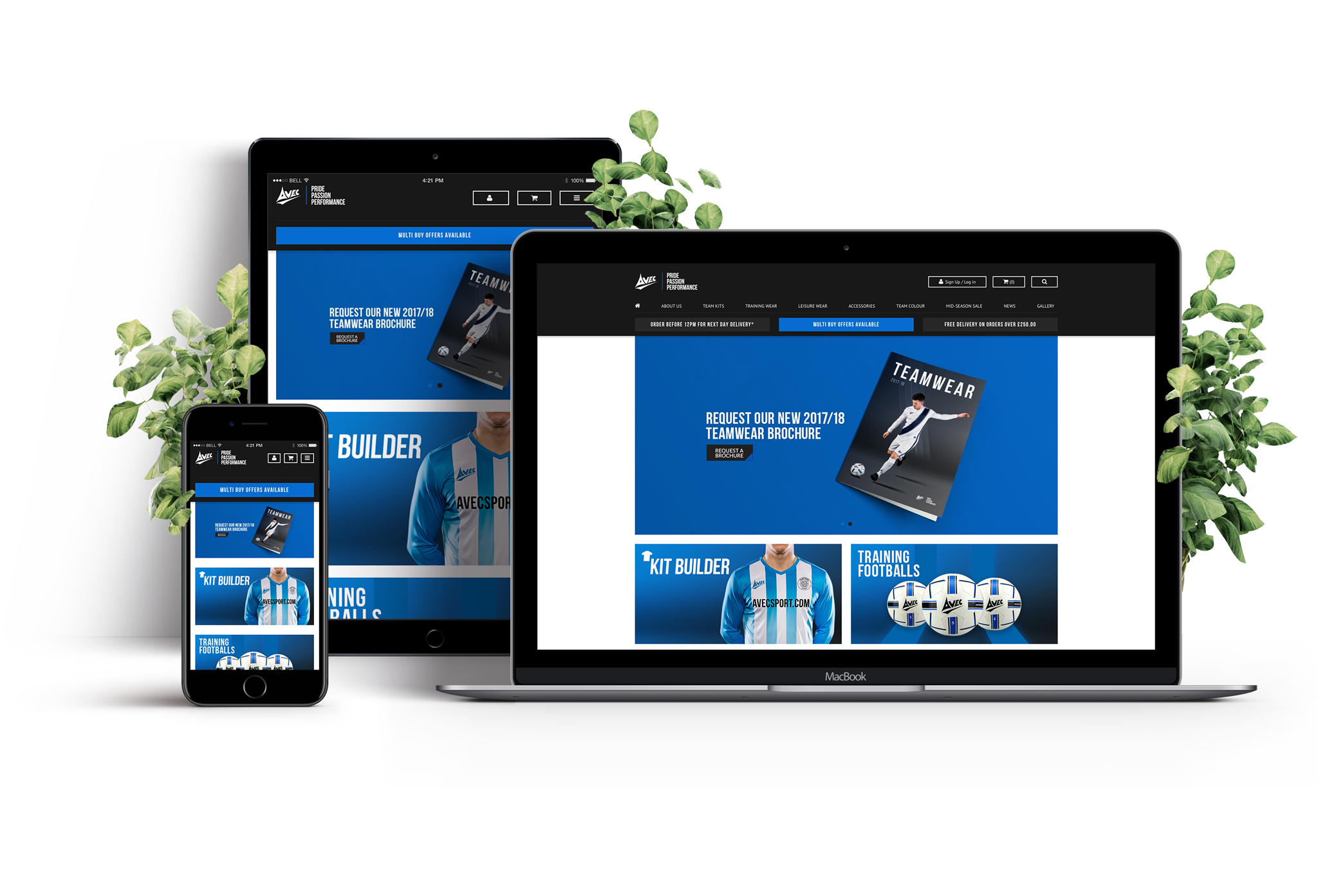 Web Design & Development