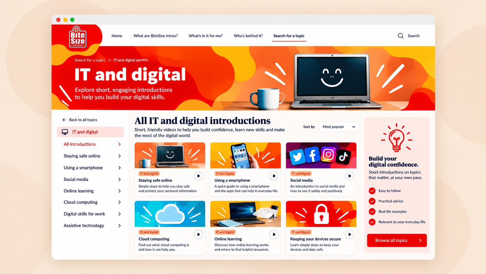 Case Study - bitesize intros digital skills hub