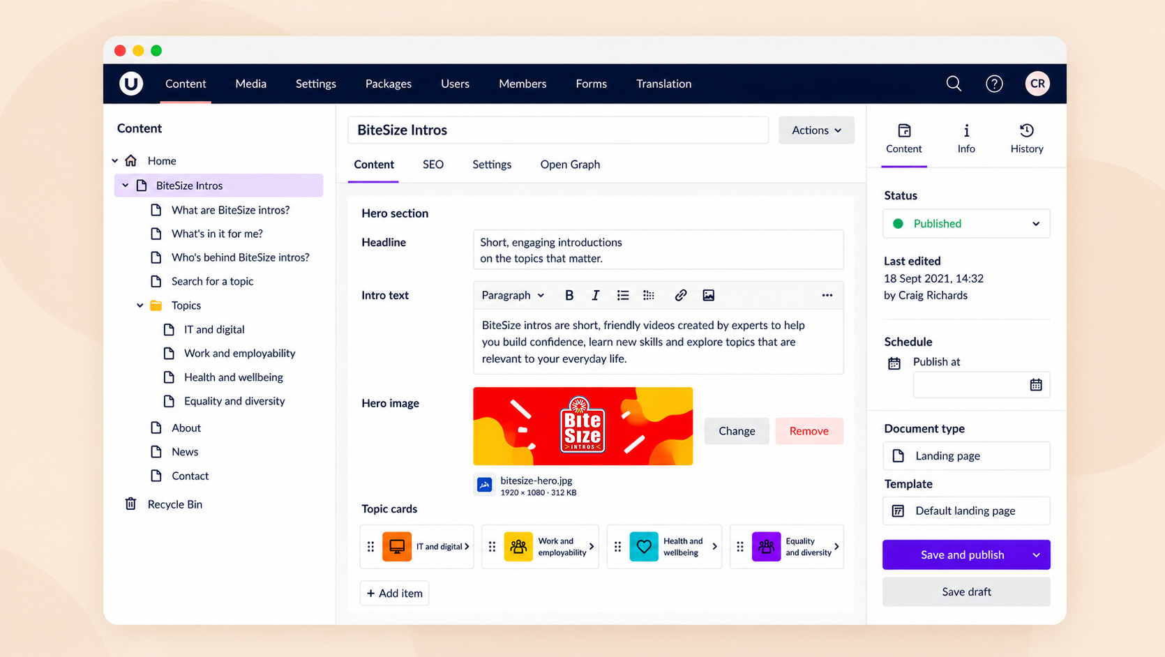 Case Study - BitSize Intros umbraco mockup